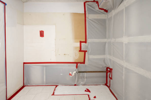 Best Commercial Mold Inspection  in Ruthers, CA